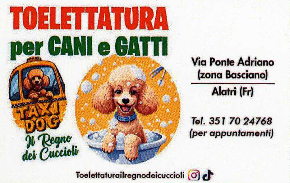Il Regno dei Cuccioli